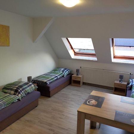 Flex Aparts - Grosse, Moeblierte Wohnung In Zwickau Mit 2 Zimmern Eksteriør bilde