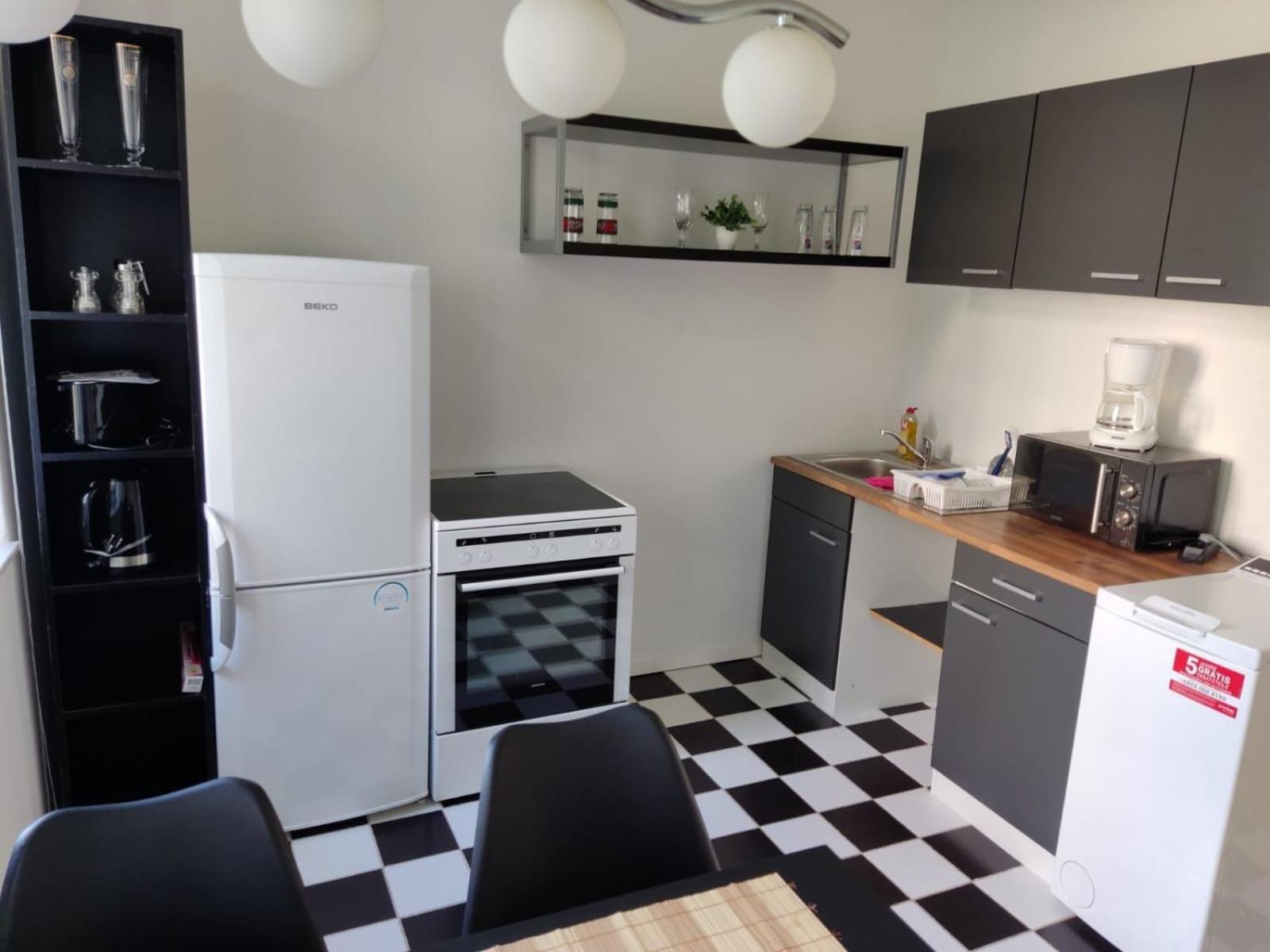 Flex Aparts - Grosse, Moeblierte Wohnung In Zwickau Mit 2 Zimmern Eksteriør bilde